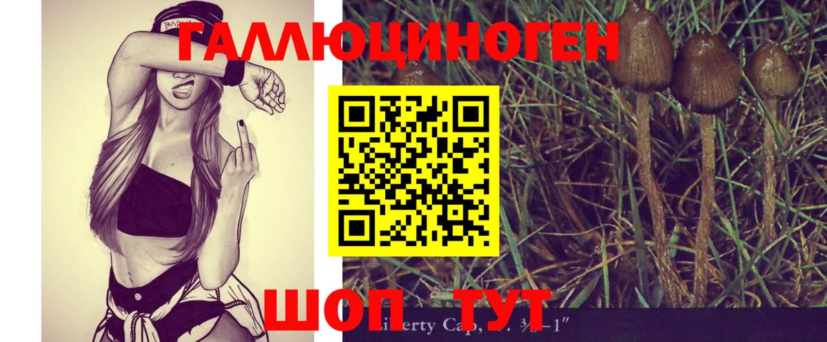 Галлюциногенные грибы GOLDEN TEACHER  Вход с VPN  Хабаровск 